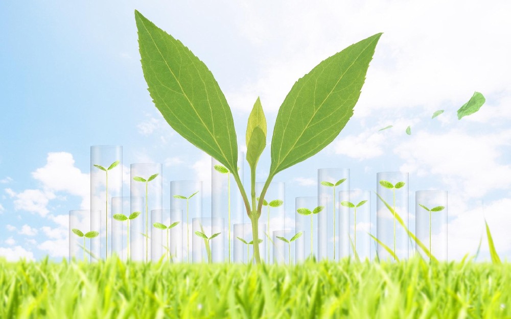 生物質發(fā)電廠如何除塵？